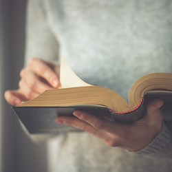 Similar image 10484622