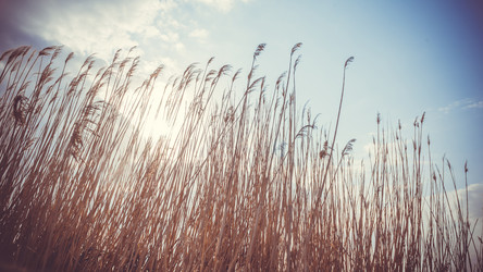 Similar image 10484652