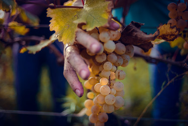 Similar image 10484699