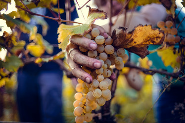 Similar image 10484701