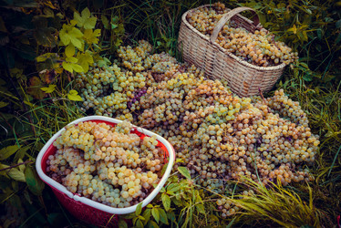 Similar image 10484702