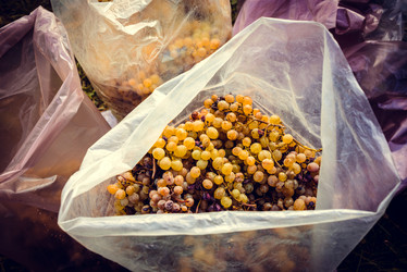 Similar image 10484703