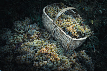 Similar image 10484705