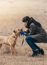 Similar image 10484715