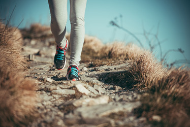 Similar image 10484736