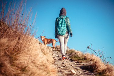 Similar image 10484737