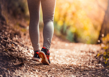 Similar image 10484758