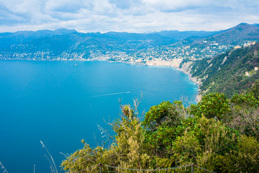 Similar image 10484759