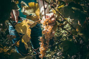 Similar image 10484782