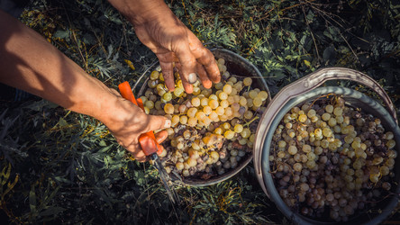 Similar image 10484793