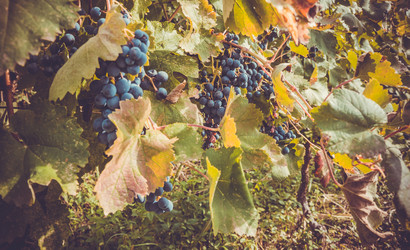 Similar image 10484799