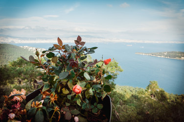 Similar image 10484800