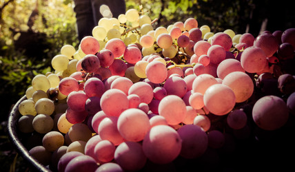 Similar image 10484803