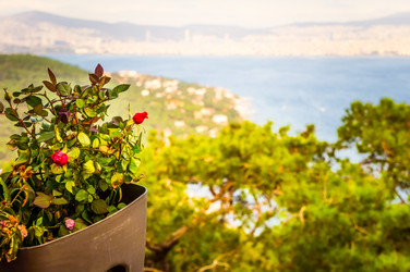 Similar image 10484804