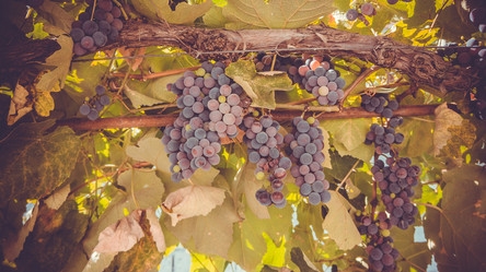 Similar image 10484809