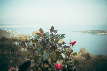 Similar image 10484810