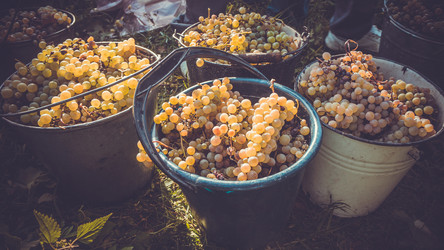 Similar image 10484814