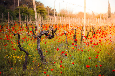 Similar image 10484847