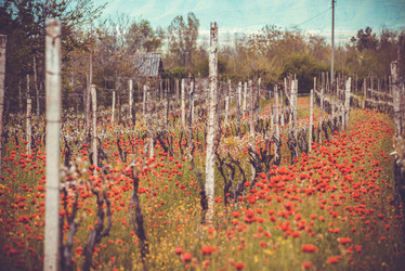 Similar image 10484849