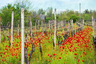 Similar image 10484851