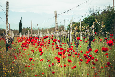 Similar image 10484855