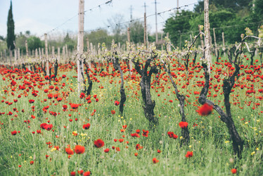 Similar image 10484858