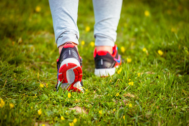 Similar image 10484876