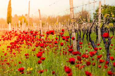 Similar image 10484877