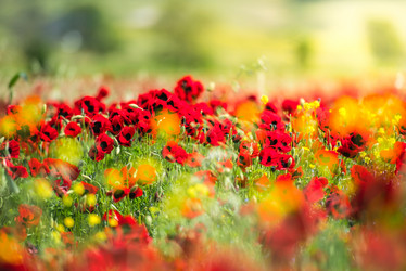 Similar image 10484963