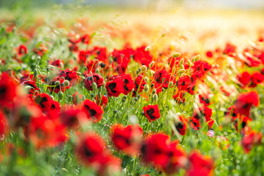 Similar image 10484964