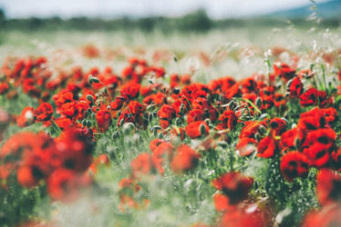 Similar image 10484966