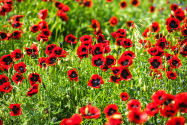 Similar image 10484968