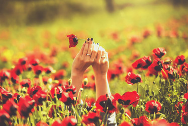 Similar image 10484971