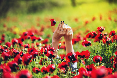 Similar image 10484973