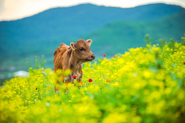 Similar image 10484985