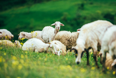 Similar image 10484991