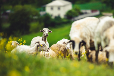 Similar image 10484993