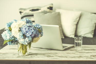 Similar image 10485042