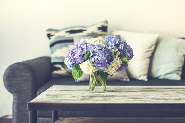 Similar image 10485046