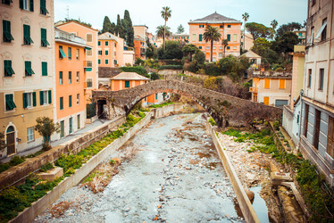 Similar image 10485076