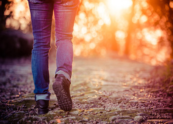 Similar image 10485084