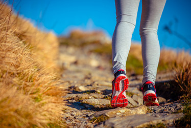 Similar image 10485085