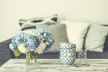 Similar image 10485168