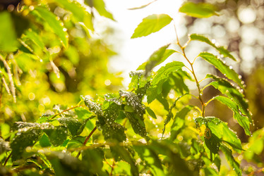 Similar image 10485181