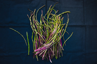 Similar image 10485188