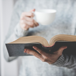 Similar image 10485201