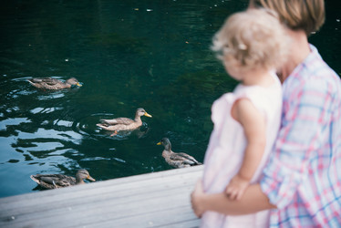 Similar image 10485321