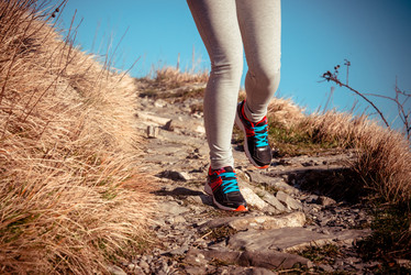 Similar image 10485369