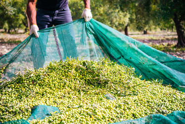 Similar image 10485404