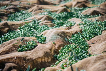 Similar image 10485454